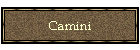 Camini